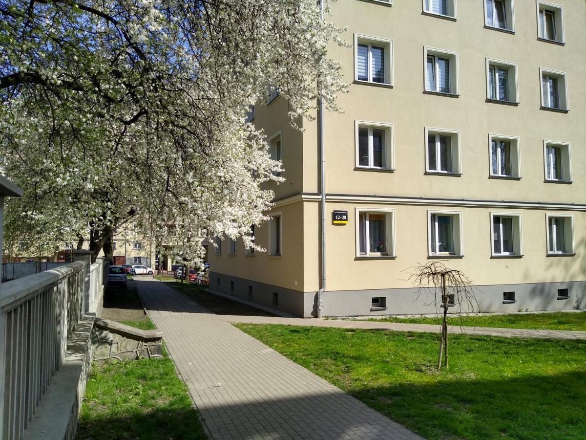Bluebird Near Spodek Mck & Center Apartment